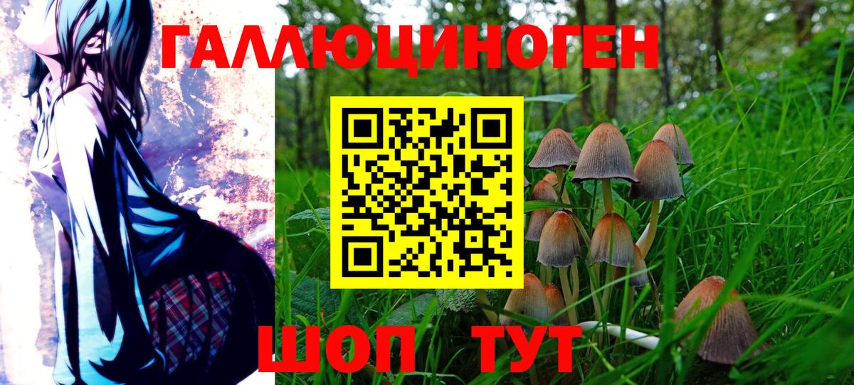 Галлюциногенные грибы Psilocybe  Галлюциногенные грибы GOLDEN TEACHER  Ростов-на-Дону  купить наркотики сайты  Вход с VPN 