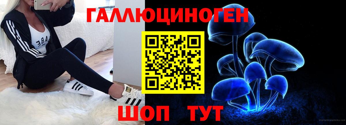 Галлюциногенные грибы MAGIC MUSHROOMS Ростов-на-Дону