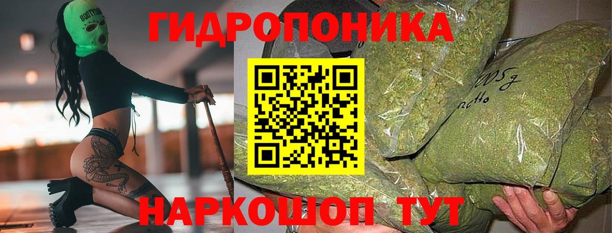 Марихуана SATIVA & INDICA  Бошки Шишки семена  Ростов-на-Дону  Вход с VPN  Канабис индика 